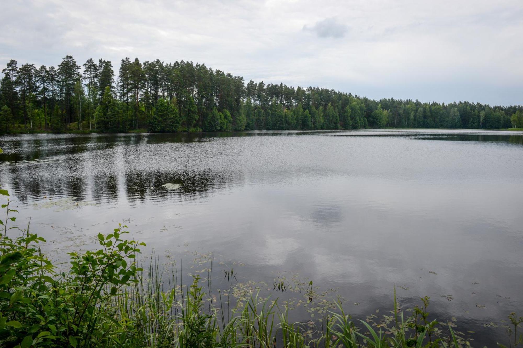 Alberta Diki Упесциемс Номер фото